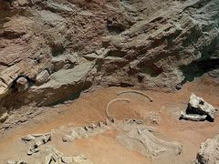 -浙江自然博物院(杭州馆)