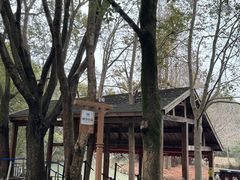 -同里国家湿地公园