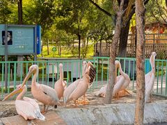 -水上乐园·欢乐世界