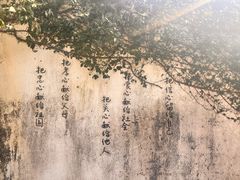 -杨家堂村