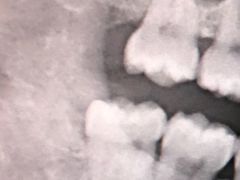 -上海市第七人民医院