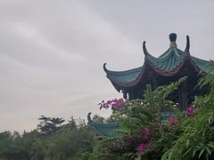 -桂湖森林公园