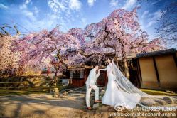 点击看大图 -HANSA韩纱婚纱礼服·龙凤褂·西装设计师集合店