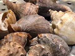 -马路边上·小海鲜烧烤(八一路店)