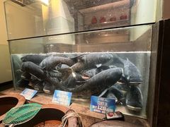 -上名堂·鱼头好吃(体育场路店)