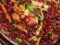 -老板恋上鱼(印象城店)