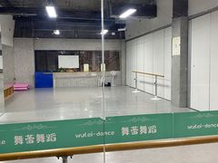 -舞蕾舞蹈(特长生校区)