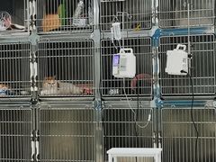 -莘程宠物医院(金山店)