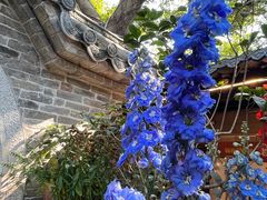 -园林美食城·本土农家菜(杨和镇店)