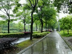 -新江湾城公园