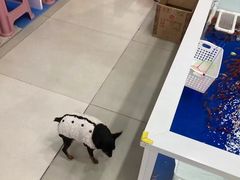-君之狮子山·轻糖烘焙(开元Mini店)
