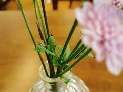 -Ten Olives甜点