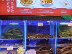 -船歌·鱼水饺青岛菜(石老人店)