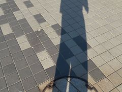-黑潮市场