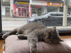 -B.O.M波姆烘焙(凤凰街店)