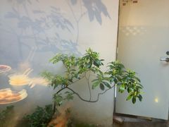 -花迹(富春江东街店)