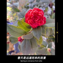 -乐高授权专卖店(鲁能城购物中心店)