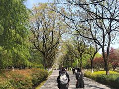 -白塘生态植物园