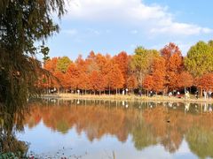 -上海海湾国家森林公园