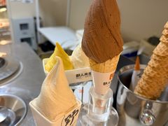 -野人先生现做冰淇淋(北京环宇荟店)