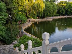 -团结湖公园