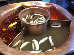 -老诚一锅羊蝎子(黄寺大街店)