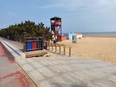 -日照海滨国家森林公园