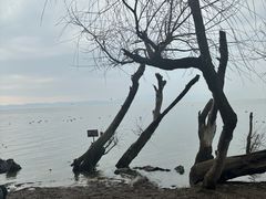 -捞渔河湿地公园