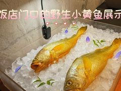 -黄鱼馆Jhouse(外滩店)
