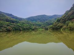 -黄埔油麻山森林公园