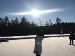 -五营红松林海景区