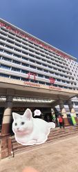 -首都医科大学附属北京儿童医院