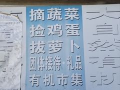 -大自然农场蔬菜草莓采摘园