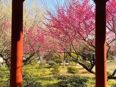 -采石矶景区