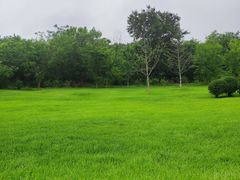 -棒棰岛宾馆景区