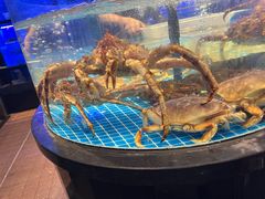 -望海臻鲜·海鲜餐厅