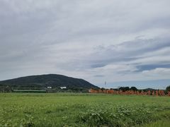 -苏州太湖西山岛开心农场