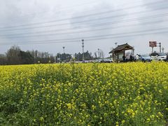 -桤木河湿地公园