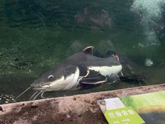 -青青世界