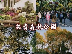 -人民公园-相亲角