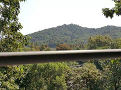 -西湖风景区-江洋畈生态公园