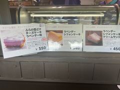 -富田农场