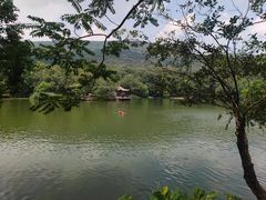 -紫霞湖公园