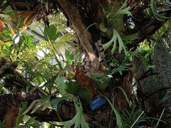 -国家植物园南园