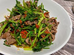 -壹盏灯(惠农店)