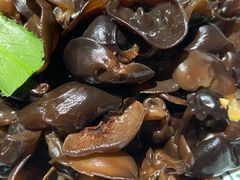 傣味云耳-云海肴·汽锅鸡·云南菜(美罗城店)