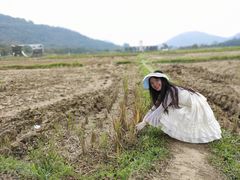 -风云岭森林公园