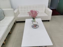 -蕾特恩专业祛痘·皮肤管理