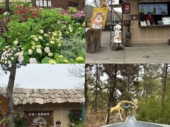 -沂蒙山旅游区云蒙景区(蒙山国家森林公园)