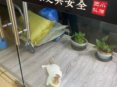 -胜华驾校·小猫学车(银都店)